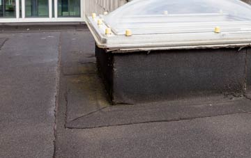 disadvantages of Duntish flat roofs