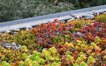 the cost of Duntish green roof installation