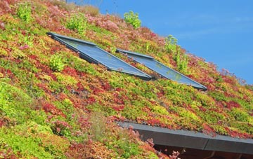 Duntish living roof systems