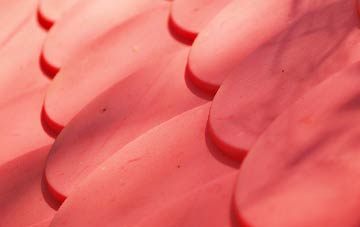 Duntish plastic roof costs