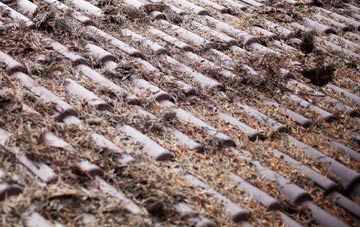 Duntish roof cleaning companies