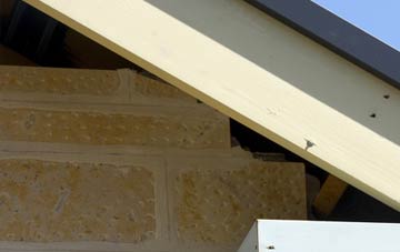 soffit repair Duntish