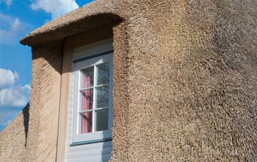 Duntish thatch roof disadvantages