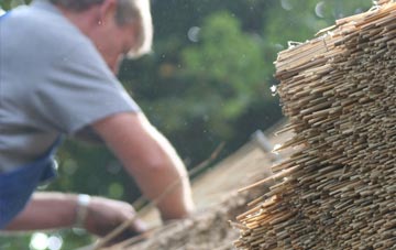 professional Duntish thatchers