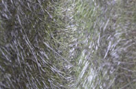 Duntish fibreglass roof work