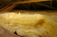 Duntish pitch roof insulation