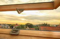 rated Duntish roof window companies